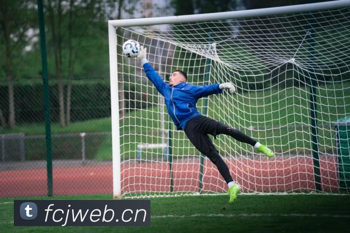 开运体育官网登录入口APP 封面图